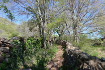 Muros de piedra seca definen el camino.