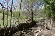 Barranco de Estanyalga.