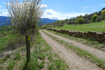 Tramo de pista de tierra.