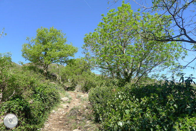 Itinerario por el Batlliu de Sort 1 