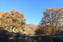 El bonito paraje del Oratorio, con sus robles monumentales.