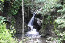 Saltos de agua en la riera de Beget, cerca del Molino de Sorolla.