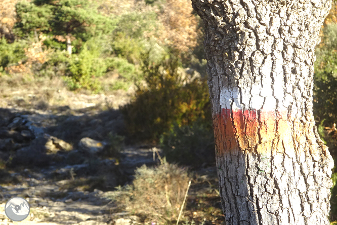 Beget y Rocabruna por caminos de contrabandistas 1 