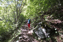 Subida dura, pero a través un bosque sombrío.