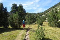 El bosque deja paso a una zona abierta.