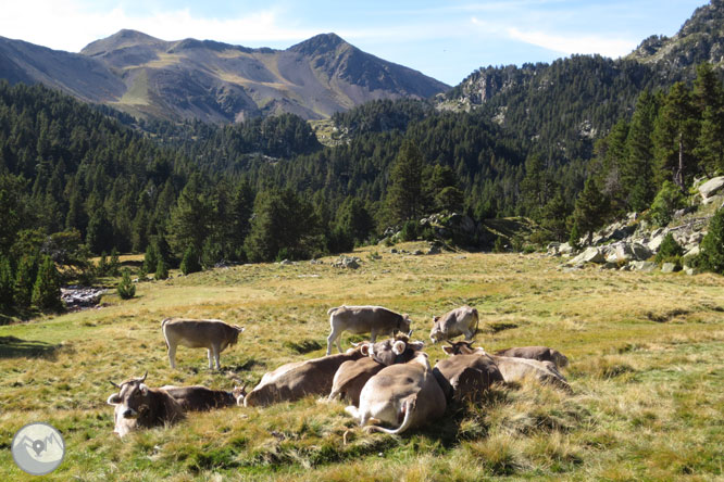 Besiberri Sur (3.024m) y Comaloforno (3.029m) por los lagos de Gémena 1 