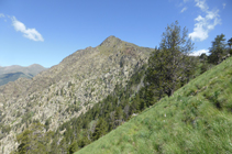 Prados de festuca cerca del Bony de la Pica.