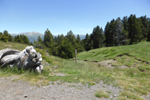 Camino del collado de Montaner hacia los Cortals de Sispony.