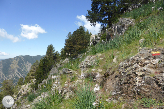 Bony de la Pica (2.402m) desde la Margineda 1 