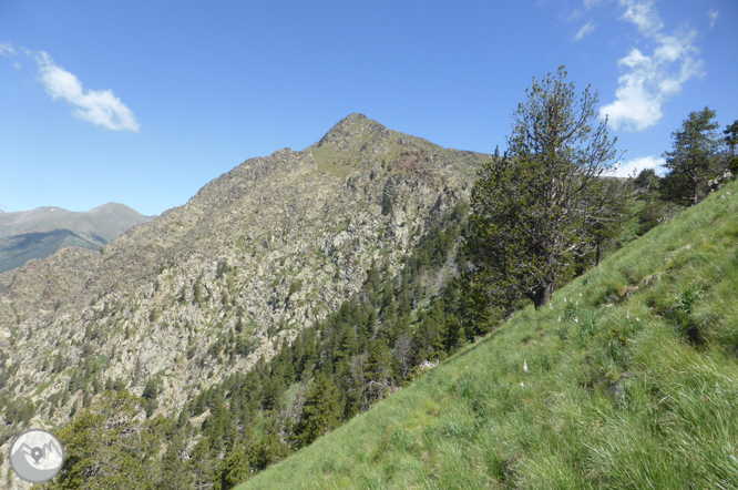 Bony de la Pica (2.402m) desde la Margineda 1 