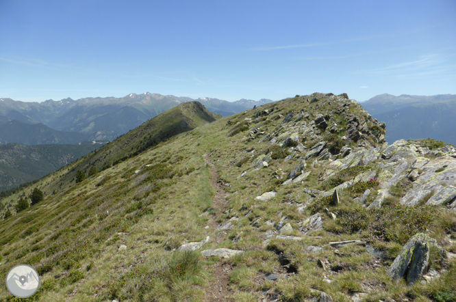 Bony de la Pica (2.402m) desde la Margineda 1 