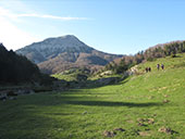 Bosque de Gamueta desde el refugio de Linza