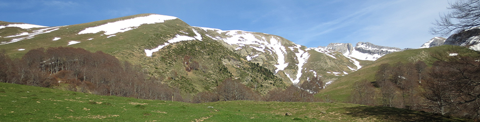 Bosque de Gamueta desde el refugio de Linza