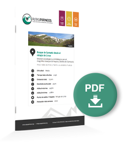 pdf-ruta