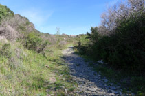 Tomamos un sendero que avanza en paralelo a la riera.