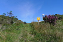 El sendero nos lleva hasta la carretera.