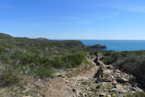 Avanzamos por entre viñas abandonadas con el faro bien visible al fondo.