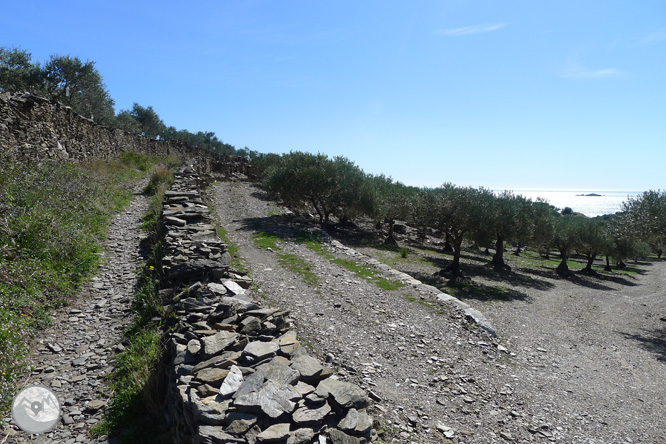 Camino Antiguo de Cadaqués al Cabo de Creus 1 