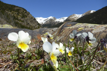 Panorámica de las cumbres del valle del Riu.