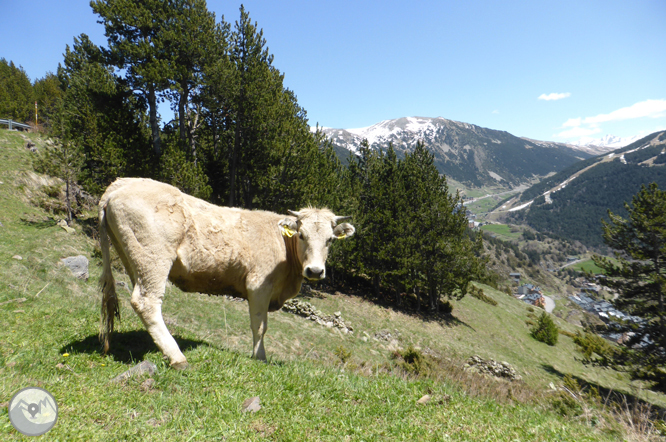 Camino circular de la parroquia de Canillo 1 