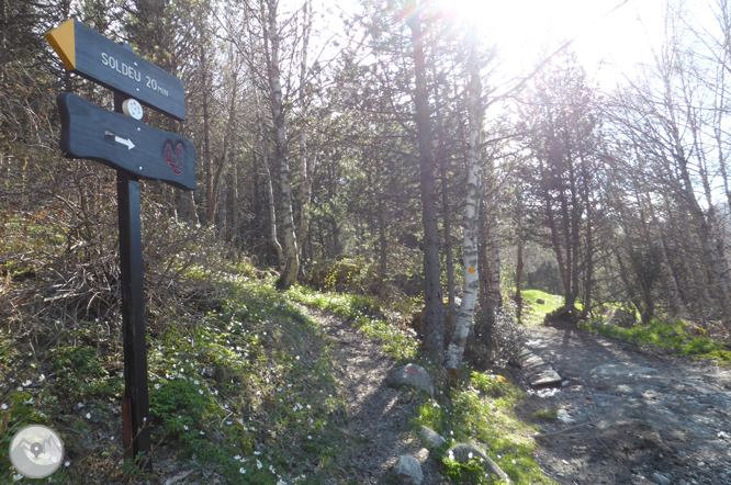 Camino circular de la parroquia de Canillo 1 