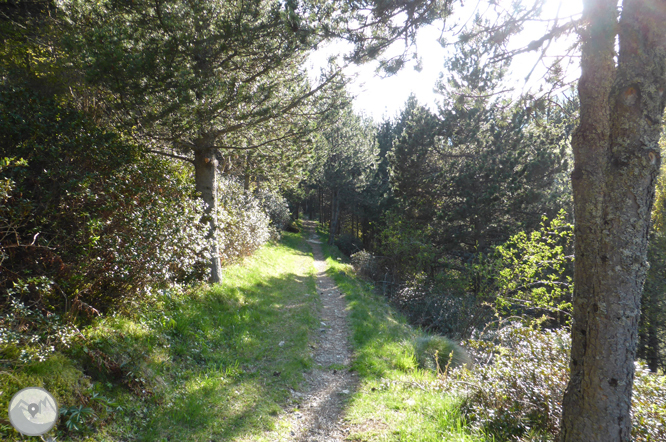 Camino circular de la parroquia de Canillo 1 