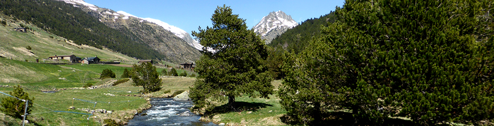 Camino circular de la parroquia de Canillo