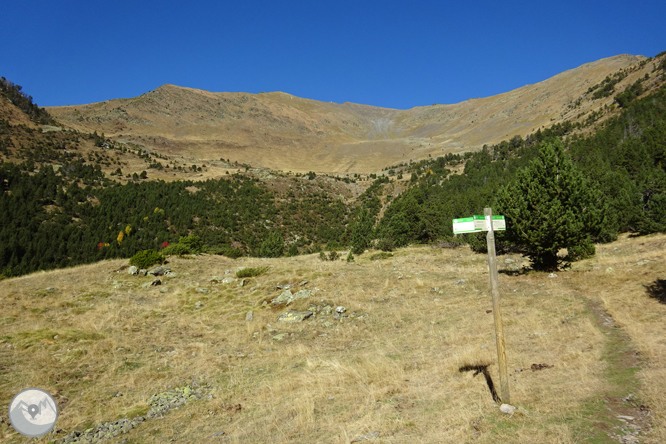 Camino de Percanela - Les Fonts - Pla del Estany 1 