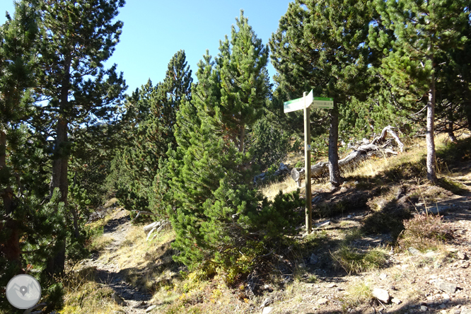 Camino de Percanela - Les Fonts - Pla del Estany 1 