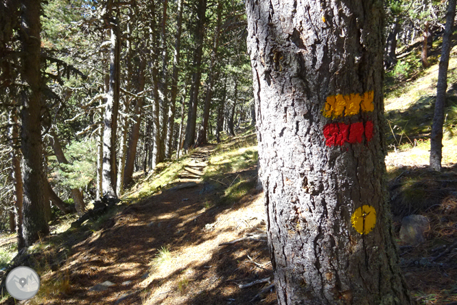 Camino de Percanela - Les Fonts - Pla del Estany 1 