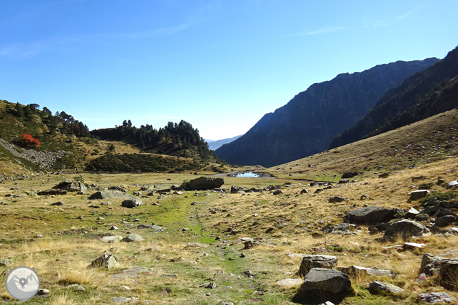 Camino de Percanela - Les Fonts - Pla del Estany 1 