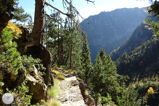 Camino de Percanela - Les Fonts - Pla del Estany 1 