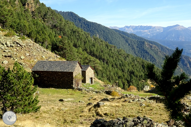 Camino de Percanela - Les Fonts - Pla del Estany 1 