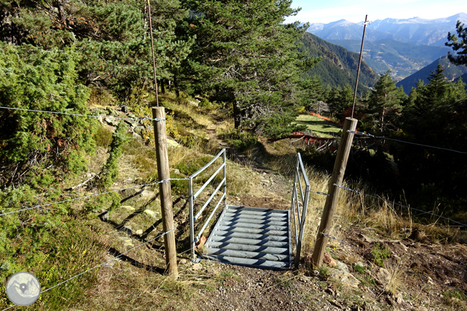 Camino de Percanela - Les Fonts - Pla del Estany 1 