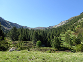 Camino de Prat Primer y bosque de la Caülla