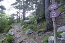 Cruce de la Font de la Ruta.