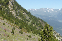 La ladera inclinada por dónde transcurre el camino de los Certeresos.