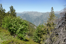 Vistas a la sierra de Enclar desde el camino de los Certeresos.