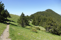 Llegando al collado de la Caülla.