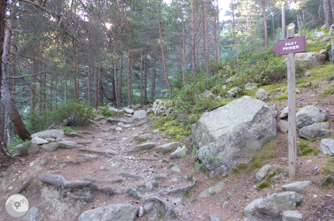 Camino de Prat Primer y bosque de la Caülla 1 