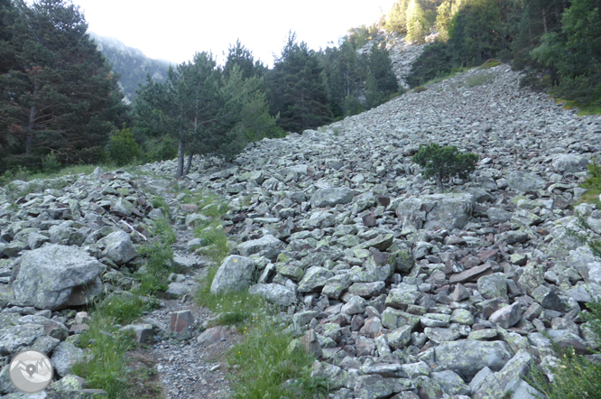 Camino de Prat Primer y bosque de la Caülla 1 