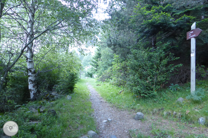 Camino de Prat Primer y bosque de la Caülla 1 