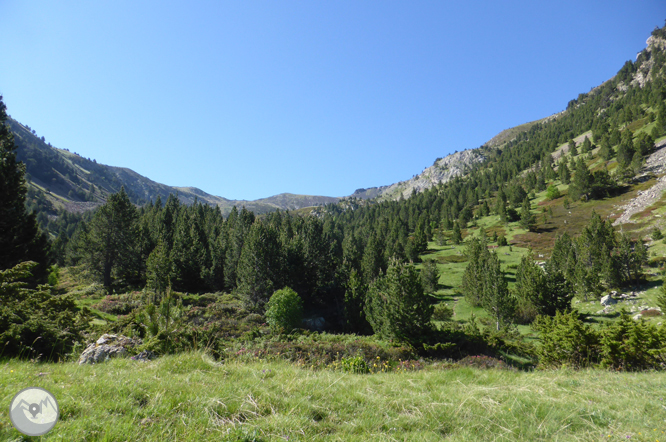 Camino de Prat Primer y bosque de la Caülla 1 