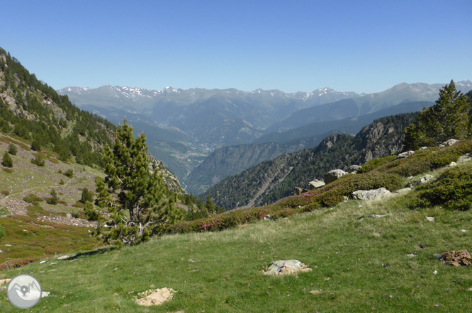 Camino de Prat Primer y bosque de la Caülla 1 