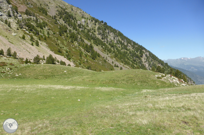 Camino de Prat Primer y bosque de la Caülla 1 