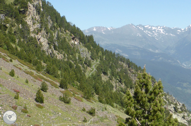 Camino de Prat Primer y bosque de la Caülla 1 