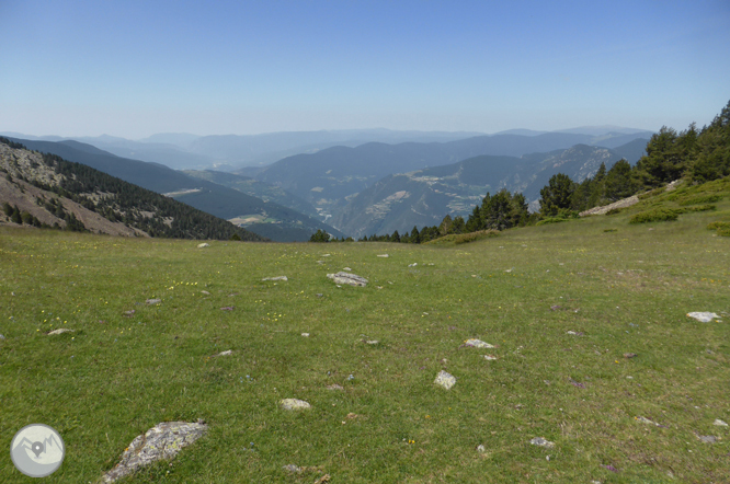 Camino de Prat Primer y bosque de la Caülla 1 