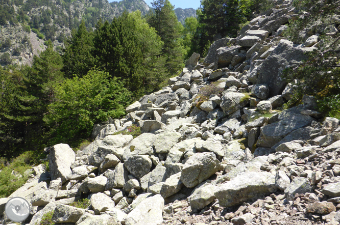 Camino de Prat Primer y bosque de la Caülla 1 