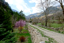 Camino a las fuentes del Cardener.