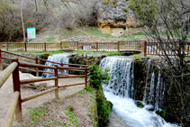 Fuentes del Cardener.